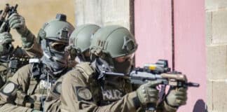 Familienstreit eskaliert: Mann nach Drohungen mit Glasscherbe festgenommen