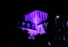 Aktionen zum Welt-Frühgeborenentag in Trier machen wichtiges Thema sichtbar