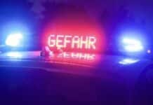 Kollision mit Wildschwein auf der A3: Fahrbahn mit Blut und Innereien überzogen