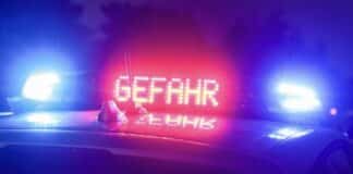 Kollision mit Wildschwein auf der A3: Fahrbahn mit Blut und Innereien überzogen