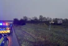 RLP: Sattelzug landet in Wingert — Fahrer wollte Waffel aufheben