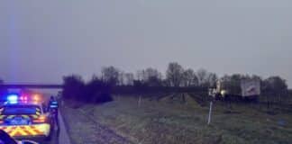 RLP: Sattelzug landet in Wingert — Fahrer wollte Waffel aufheben