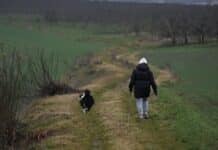 ++ Wetter zum Ende der Woche: Wolken und Regen — Sonntag trocken ++