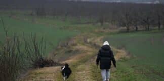 ++ Wetter zum Ende der Woche: Wolken und Regen — Sonntag trocken ++