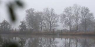 ++ Unbeständig, mild, teils neblig: So startet die neue Woche in der Region ++