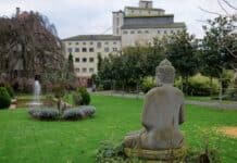 RLP: Wie ein Mann die ganze Welt in einer Mühle bewahrt — Fremdes wird vertraut