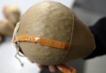 Experten warnen vor tödlicher Gefahr durch Kugelbomben — nur für Profis