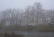 ++ Trübes Wochenende in der Region: Nebel und milde Temperaturen ++