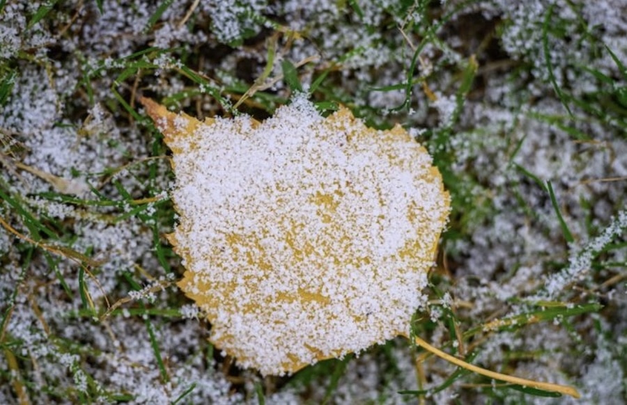 Weihnachtswetter-Viel-Sonne-an-den-Feiertagen-ein-wenig-Schnee-m-glich