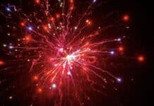 Silvester ohne Böller: Diese Politiker und Promis aus RLP verzichten