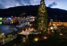 Tradition und lokale Identität: Wissenswertes zu Weihnachtsbäumen in RLP