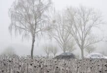 ++ Weiter Winterwetter in der Region – Autofahrer müssen mit Glätte rechnen ++