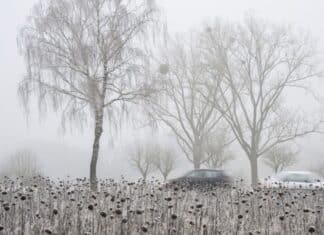 ++ Weiter Winterwetter in der Region – Autofahrer müssen mit Glätte rechnen ++