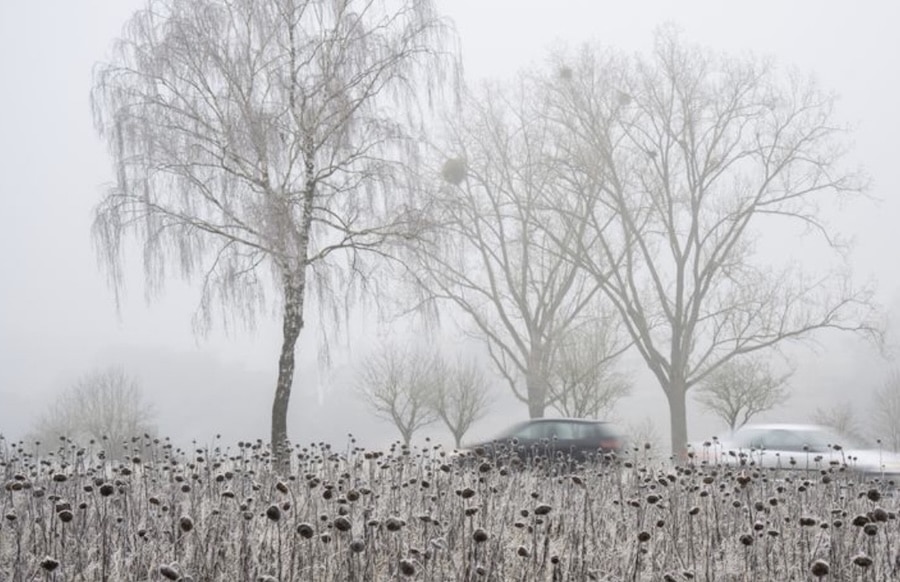 -Weiter-Winterwetter-in-der-Region-Autofahrer-m-ssen-mit-Gl-tte-rechnen-