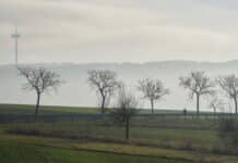 ++ „Kalte Skandinavienluft“: So wird das Wetter in der Region zum Jahresende ++