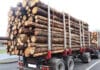 50 Prozent Überladung festgestellt: Polizei zieht Holztransporter auf der A 60 aus dem Verkehr