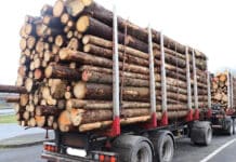 50 Prozent Überladung festgestellt: Polizei zieht Holztransporter auf der A 60 aus dem Verkehr