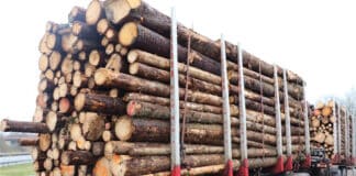 50 Prozent Überladung festgestellt: Polizei zieht Holztransporter auf der A 60 aus dem Verkehr