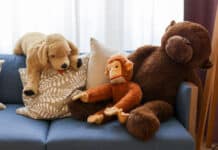 Erstes Childhood-Haus für junge Opfer von Gewalt in Rheinland-Pfalz