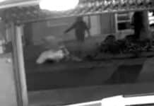 Leiche auf Einkaufswagen: «Wer tötete Diana Bodi?» – Ermittler hoffen auf Durchbruch