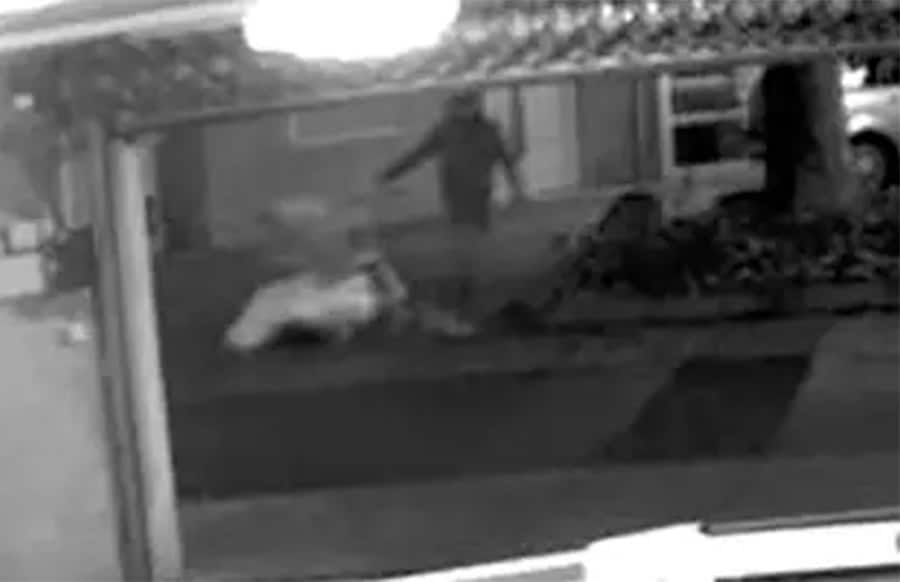 Leiche-auf-Einkaufswagen-Wer-t-tete-Diana-Bodi-Ermittler-hoffen-auf-Durchbruch