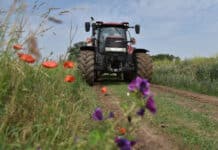 RLP: Jahrzehntelanger Streit beigelegt – Umweltschutz und Landwirtschaft reichen sich die Hand