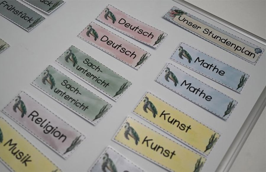 Hitzige-Debatte-Realschule-plus-im-Fokus-des-Landtags