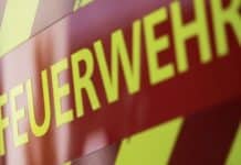 RLP: Feuer auf Pferdehof in Neujahrsnacht — 15 Tiere in Sicherheit gebracht