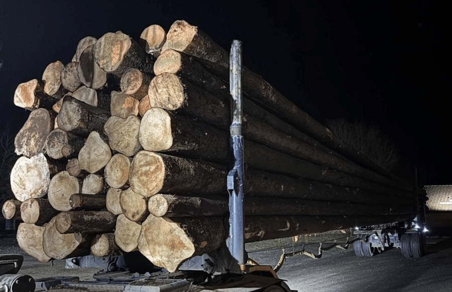 Region-Holztransporte-v-llig-au-er-Kontrolle-Polizei-stoppt-Lkw-mit-fast-64-Tonnen-Gewicht