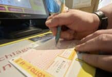 Sieben Lotto-Millionäre im Land — Rekordgewinn gleich zu Jahresbeginn