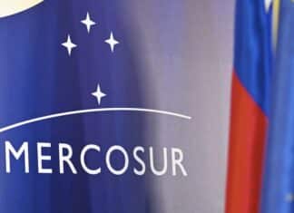 IHK-Arbeitsgemeinschaft RLP: Marktzugang und Zollentlastung dank EU-Mercosur