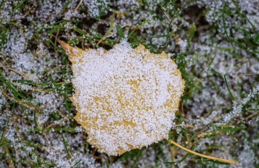 -Wetter-in-der-Region-Wetter-Eisige-Woche-startet-mit-Schnee-und-Frost-