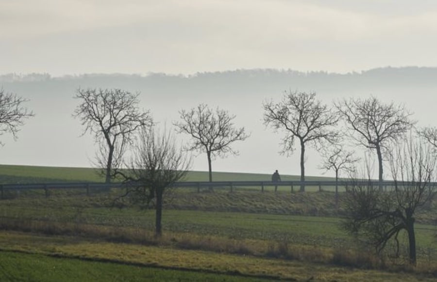 -Von-Regen-bis-heiter-Gemischte-Wetteraussichten-in-der-Region-