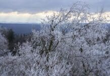 ++ Schnee, Schneeregen, Glätte: So startet das neue Jahr in der Region ++