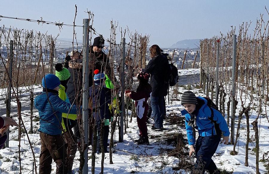 Naturwissen-und-Abenteuer-Projekt-Kinderwingert-Mosel-2026
