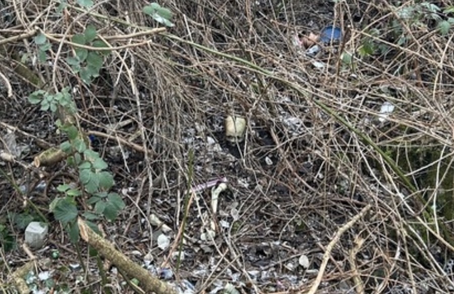 RLP-Menschliche-Knochen-an-Bahndamm-gefunden-Ermittlungen-laufen