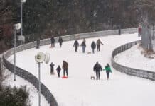 Mit dem Schlitten auf der Nordschleife: Familien nutzen Nürburgring für Spaziergänge