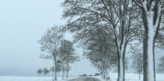 Eisiges Januar-Comeback: Frost und Glätte kehren nach Trier und Region zurück!