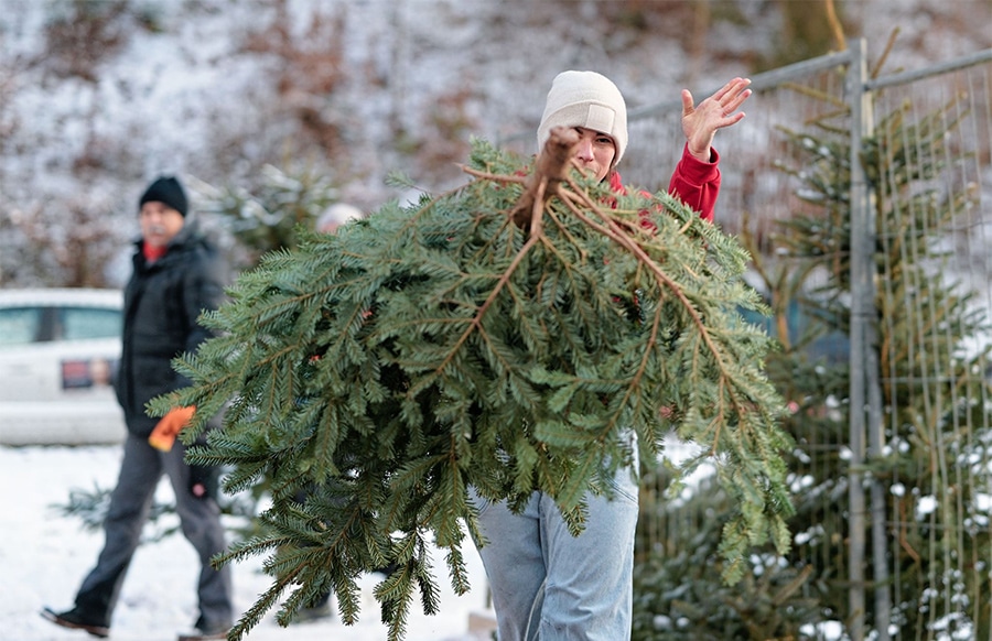 RLP-Fliegende-Fichten-Kult-Weltmeisterschaft-im-traditionellen-Weihnachtsbaumwerfen