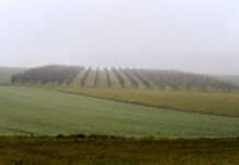 Monatswetter: Trockener Januar in Rheinland-Pfalz