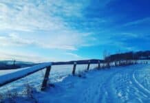 Eisiger Januar 2026: Wettermodelle – So lange bleibt es frostig in Eifel, Trier und im Saarland!