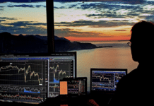 Die Popularität von Dogecoin und Ethereum wächst unter neuen Investoren