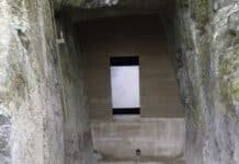 RLP: Welttag des Artenschutzes — Fledermaus-Stollen gegen „Stollentourismus“ gesichert