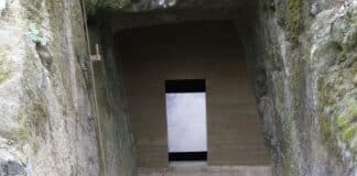 RLP: Welttag des Artenschutzes — Fledermaus-Stollen gegen „Stollentourismus“ gesichert