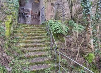 Mord an Amy Lopez: Experte erklärt, wie winzige Spuren Mörder enttarnen können