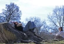 ++ Wetter in der Region: Wird die 20-Grad-Marke geknackt? ++