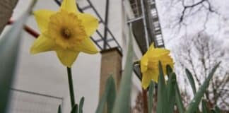 ++ Region: Wetter „ungewöhnlich mild“ — Temperaturen bis zu 18 Grad möglich ++