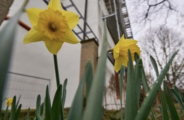 ++ Region: Wetter „ungewöhnlich mild“ — Temperaturen bis zu 18 Grad möglich ++