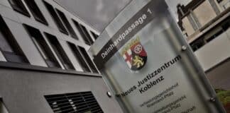 Verfassungsgerichtshof prüft Zuverlässigkeitsprüfungen für Abgeordneten-Mitarbeiter