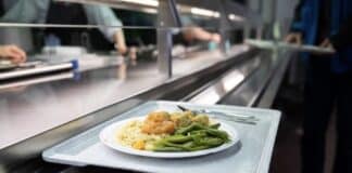 Trier, Koblenz, Mainz: Teller-Klau in Uni-Mensen — Mensa-Geschirr in der Studenten-Wohnung